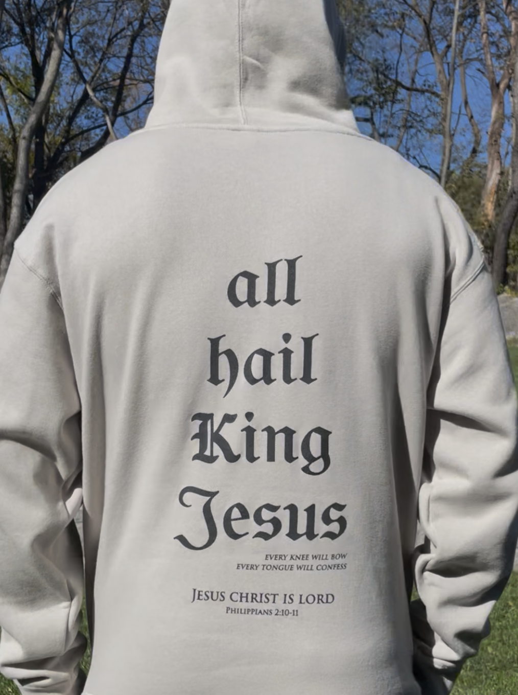 All Hail King Jesus Hoodie