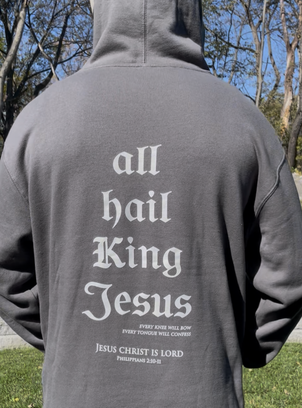 All Hail King Jesus Hoodie